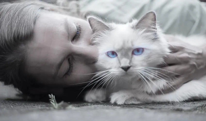 woman and cat