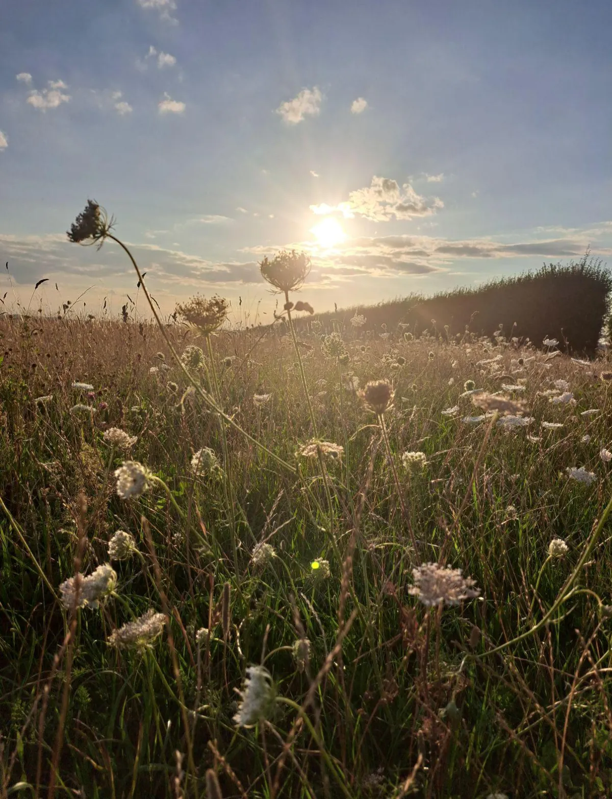 Vitamin N: The Free Medicine Most Midlife Women Are Craving