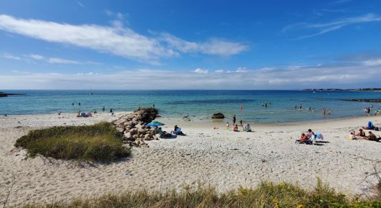 Driving to Nearby Beaches from Brockton: Best Coastal Escapes in Under an Hour 🏖️🚗 (Flexride Car Rental, Brockton, MA)