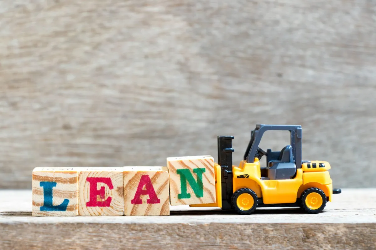 Why Should Anybody Do LEAN?