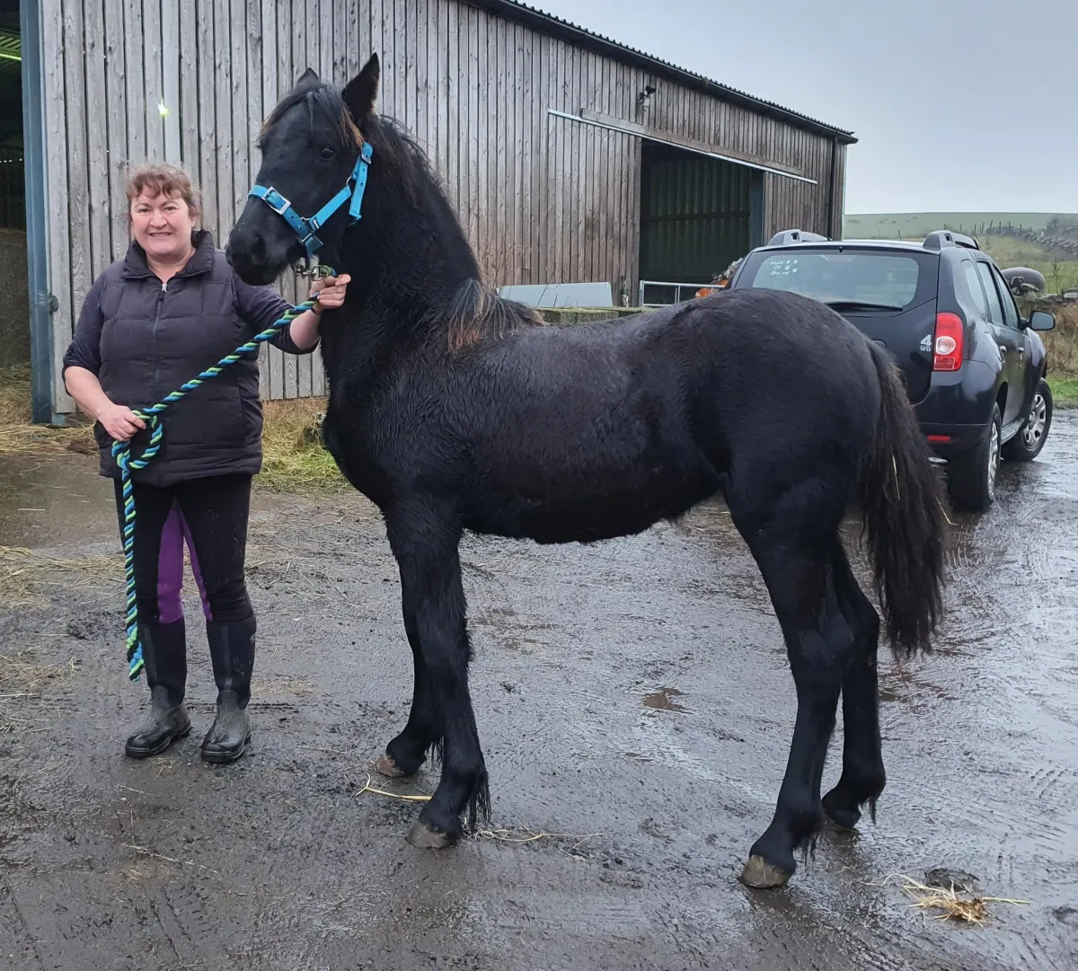 Ali and horse
