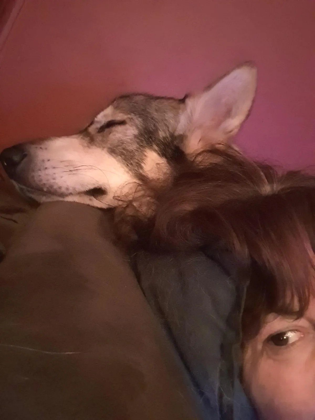 Ali and dog