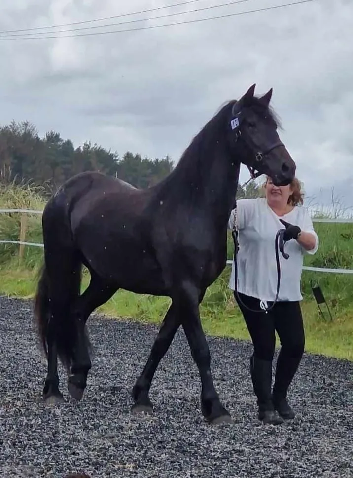 Ali and horse.