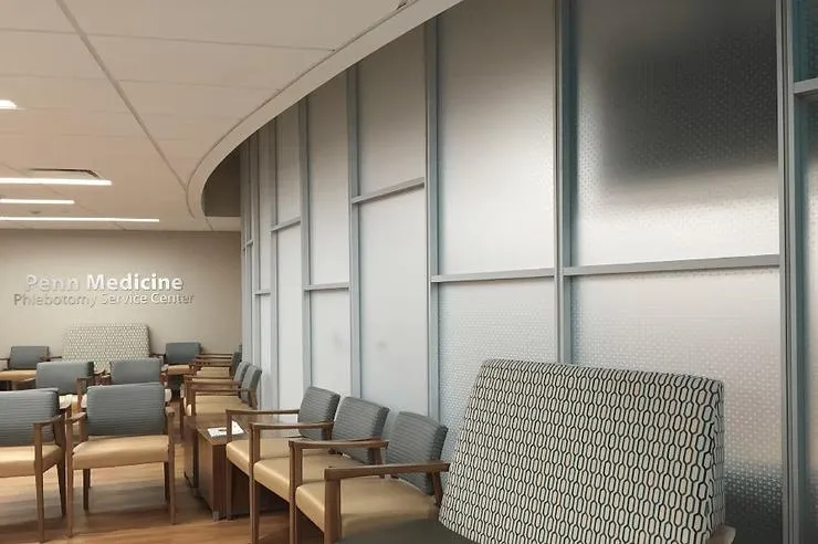 Enhancing Privacy Without Sacrificing Light: Frosted and Tinted Glass Solutions