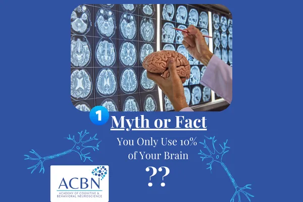 Brain scans projected on a screen with doctor holding plastic brain