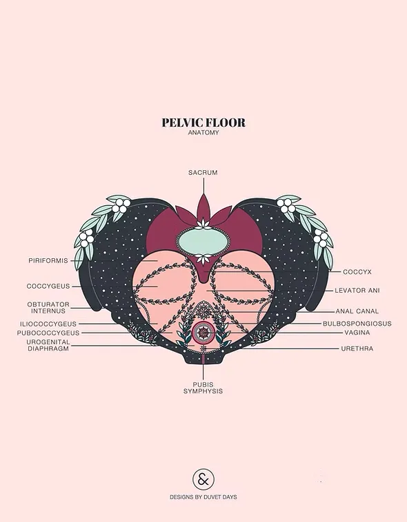 The link between stress, trauma, emotions and pelvic floor health