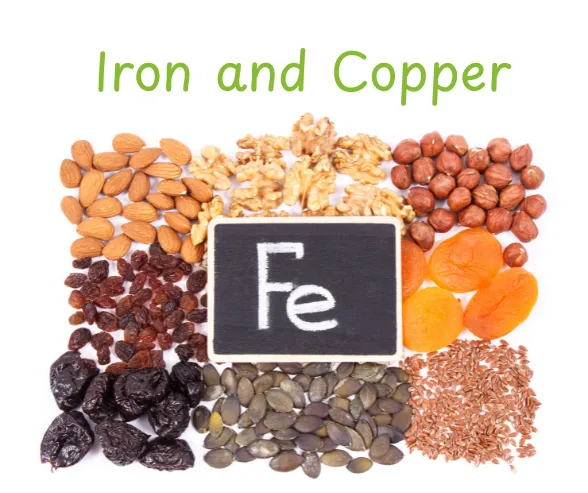 Let’s talk about Iron