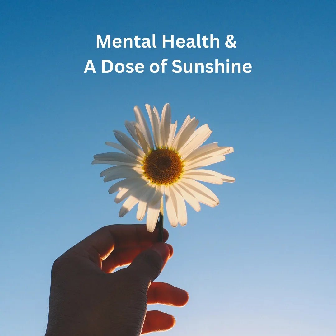 a hand holding a daisy with the title Mental Health & A Daily Dose of Sunshine