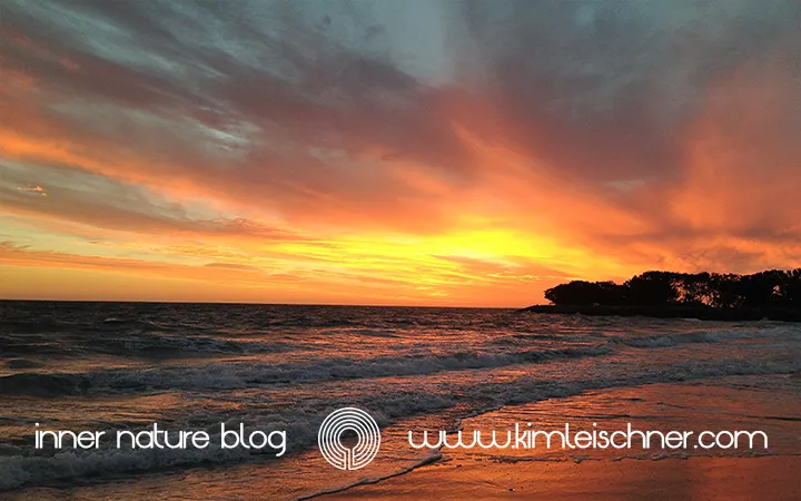 Inner Nature Blog