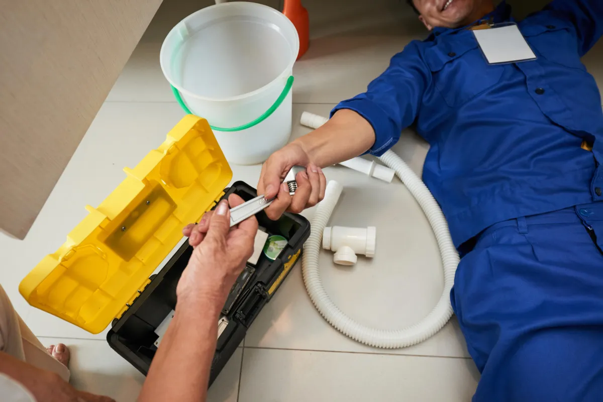 7 Crucial Reasons Why Timely Water Damage Restoration Saves Your Home and Health