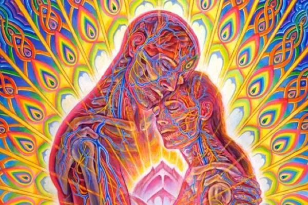 Evolutionary Partnerships