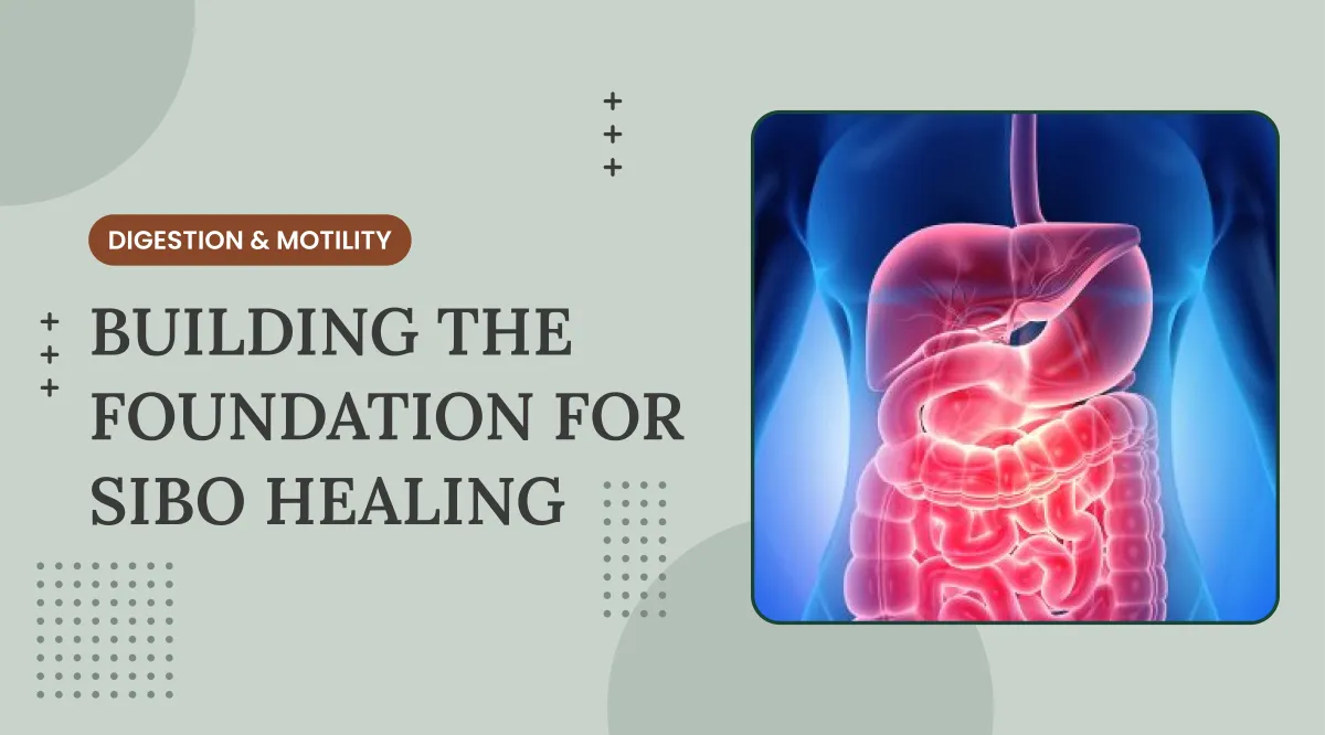 The Foundation Phase of SIBO Healing: Why Digestion and Motility Matter First