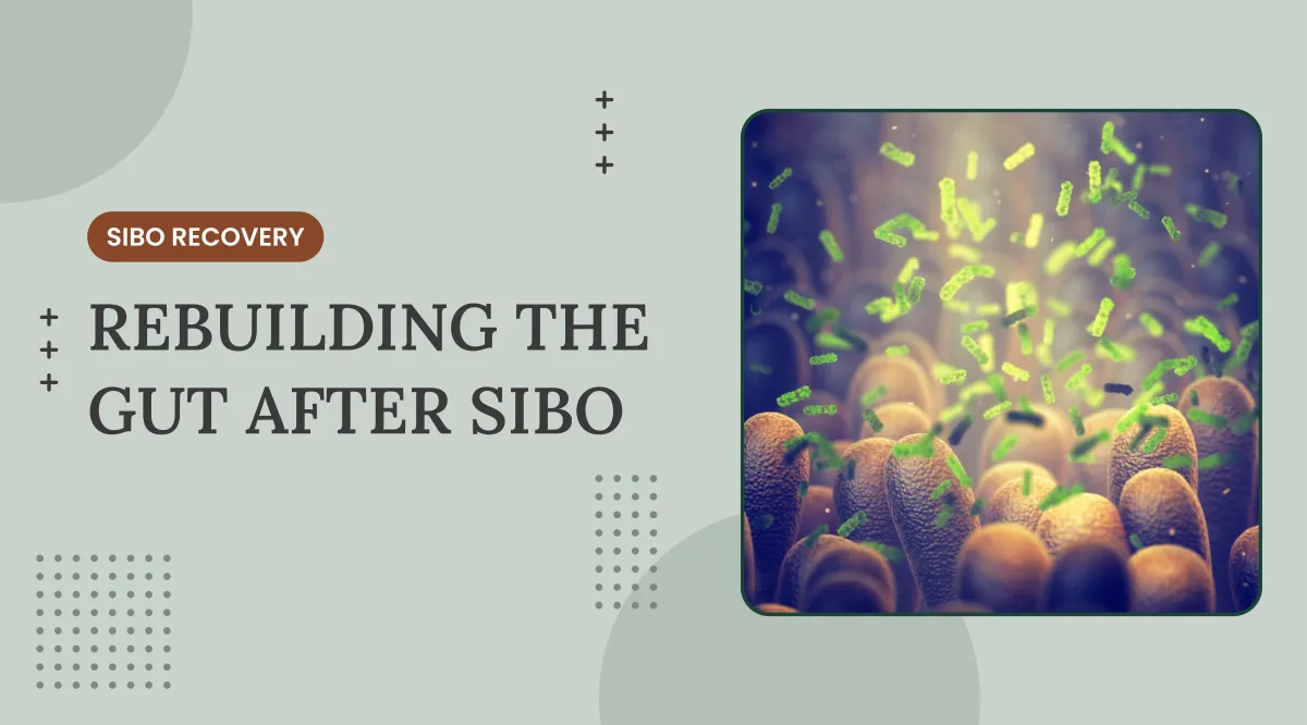 Rebuilding the Gut After SIBO: Repairing the Gut Lining and Microbiome