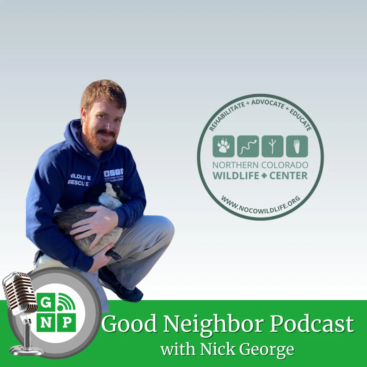 Tallon Nightwalker with Northern Colorado Wildlife Center