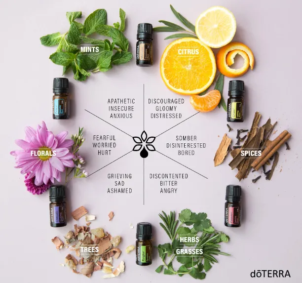Aromatherapy Effectiveness and Usage