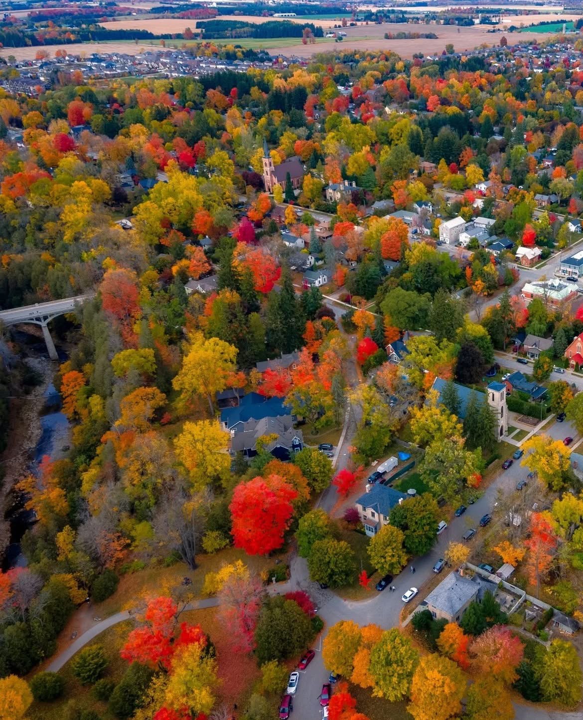 Elora Neighbourhood Guide: Schools, Parks, and Commute