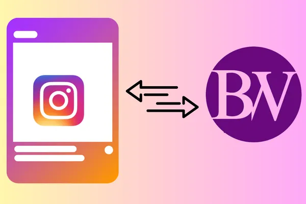 How to connect Instagram Business account with Social Planner