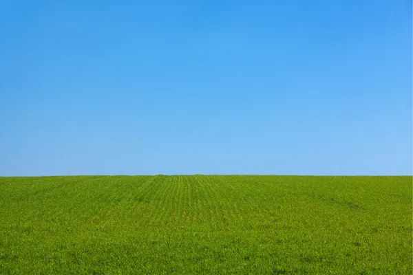 land and sky