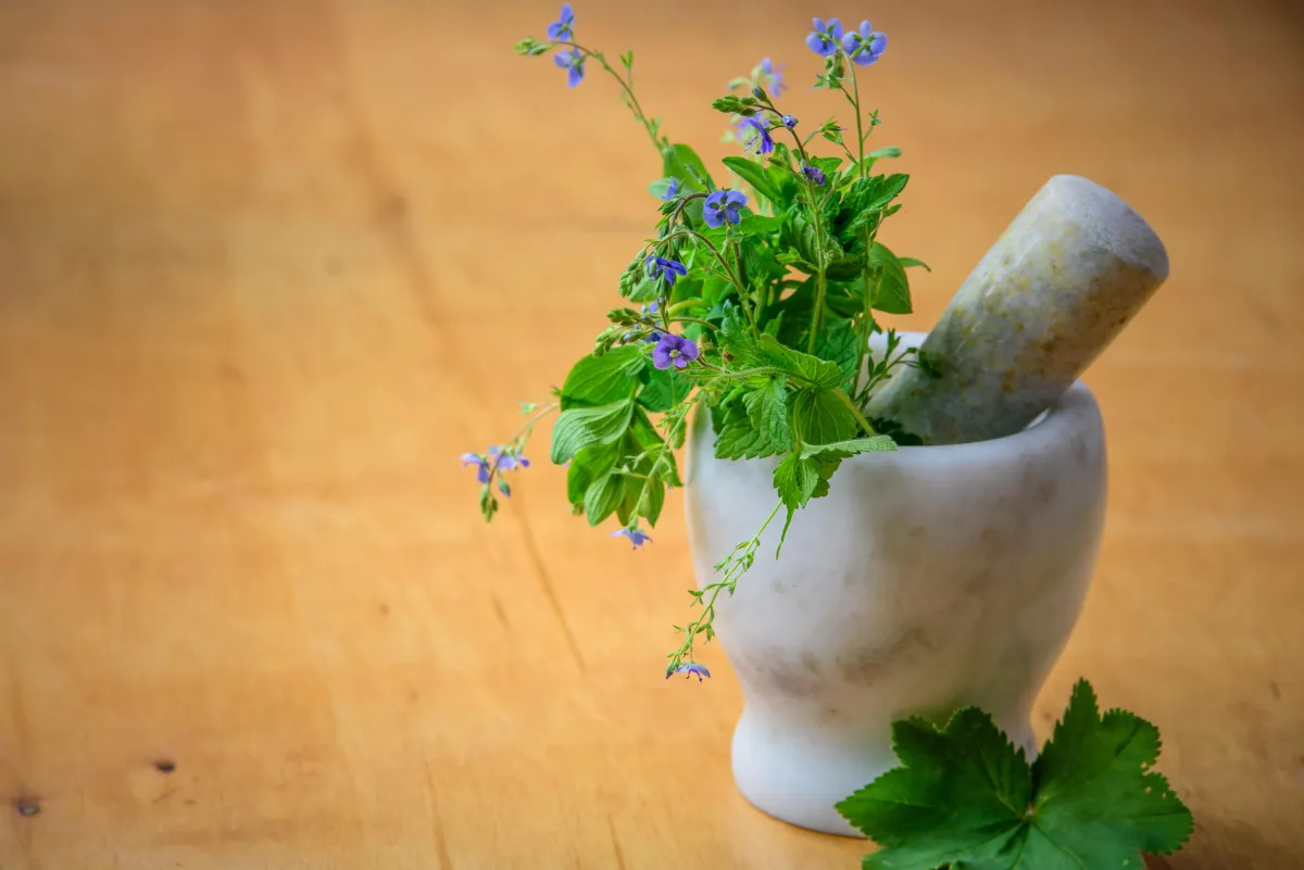 Top 5 Herbal Supplements for Boosting Immunity and Overall Health