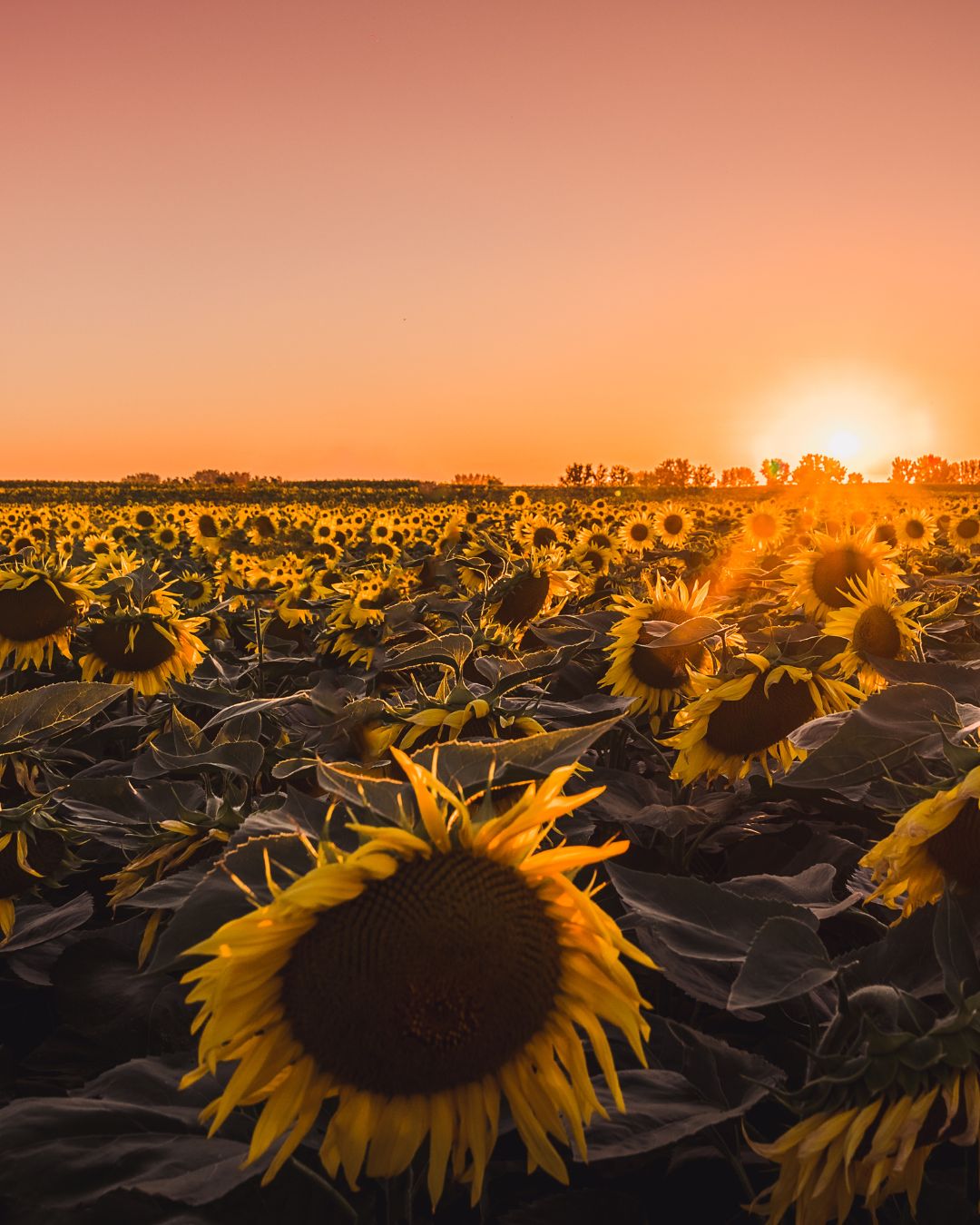 What Self-Healing Really Means (And What It’s Not)