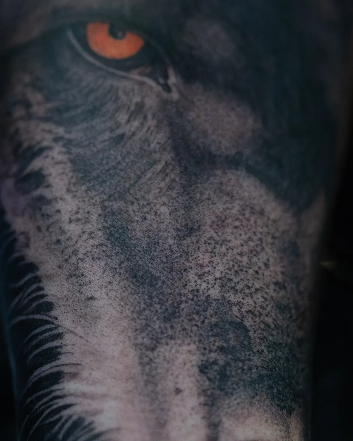 Professional tattoo by Mickey Schlick at Montana Tattoo Company in Missoula, MT.