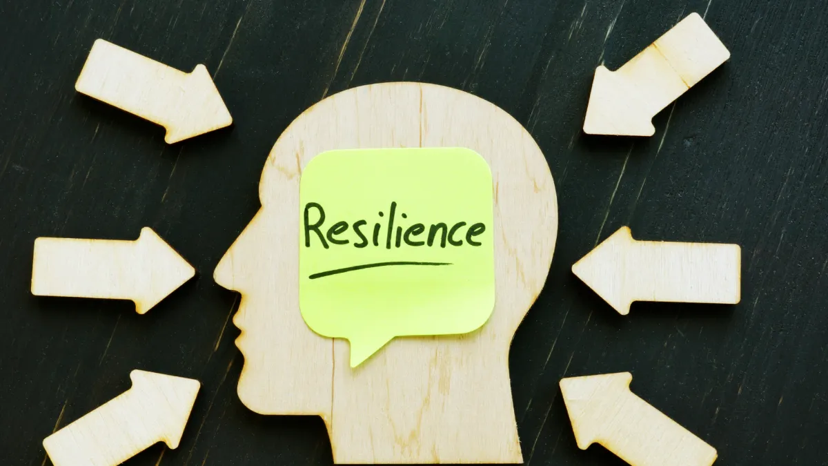 Resilient Internet Architecture Paradise NV