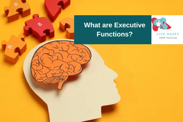 What are Executive Functions?