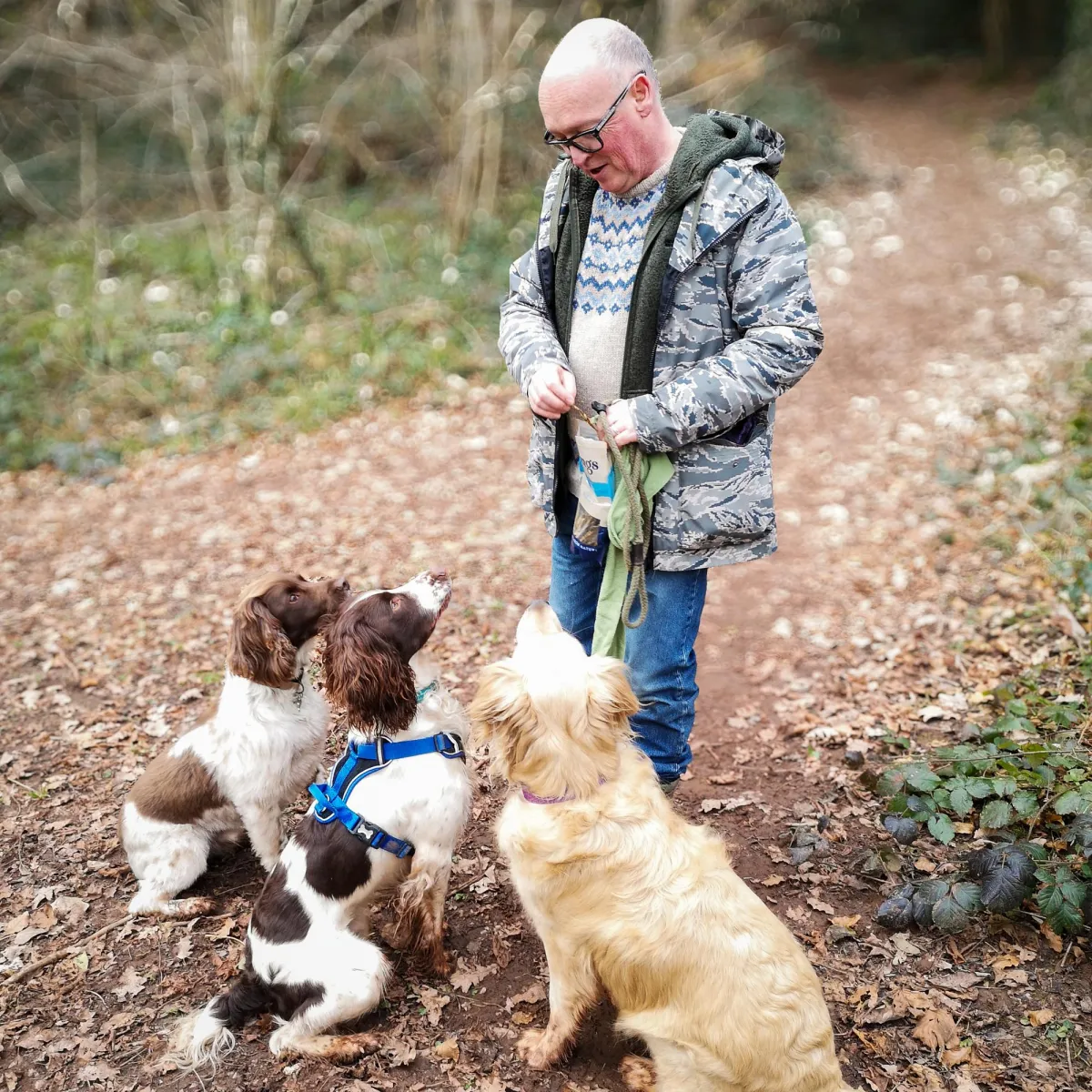 Communication Is Key For Dog Training