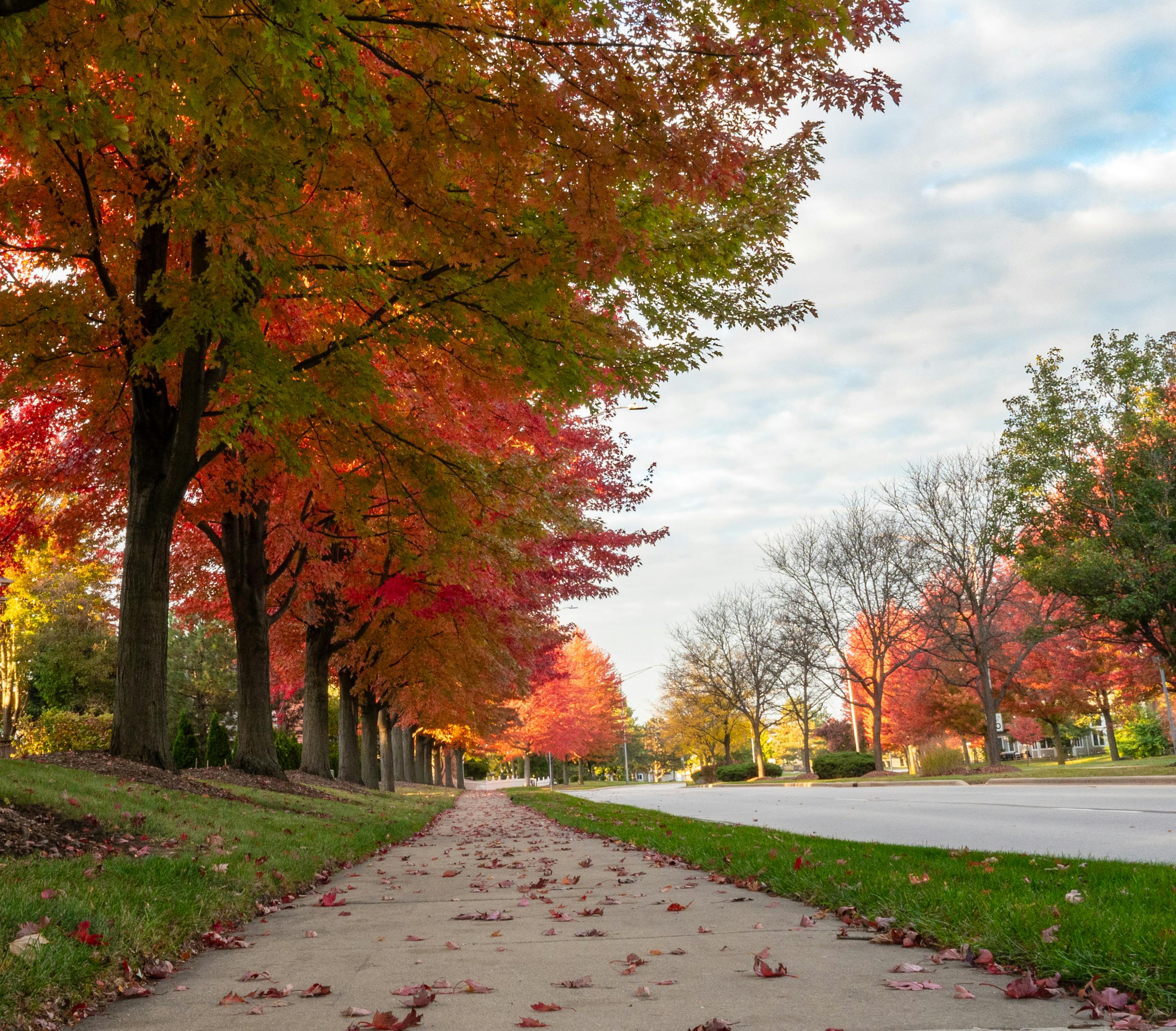  Fall Home Selling Tips: How to Get the Most Out of Your Listing