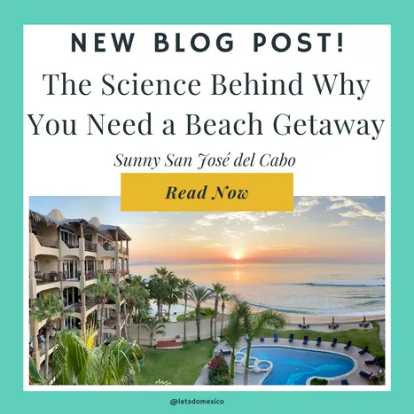 Soak Up the Sunshine: The Science Behind Why You Need a Beach Getaway