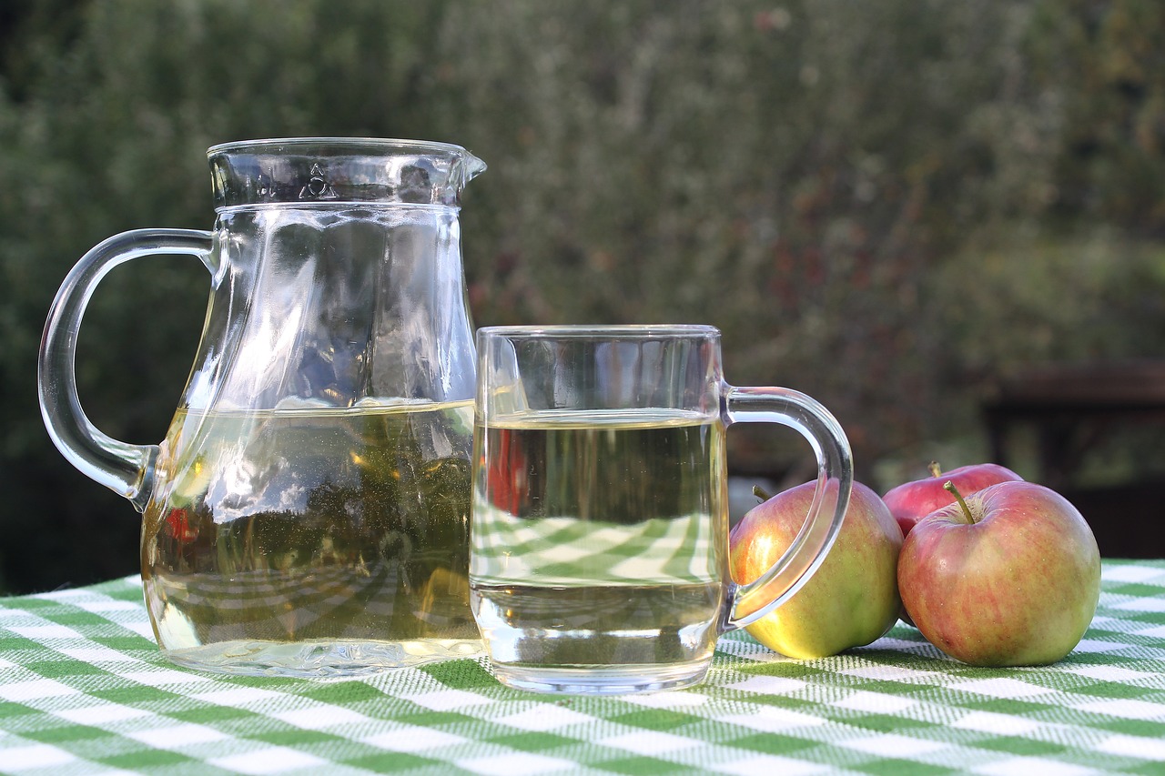 How to Get Rid of Gnats Without Apple Cider Vinegar | Lava Cleaners