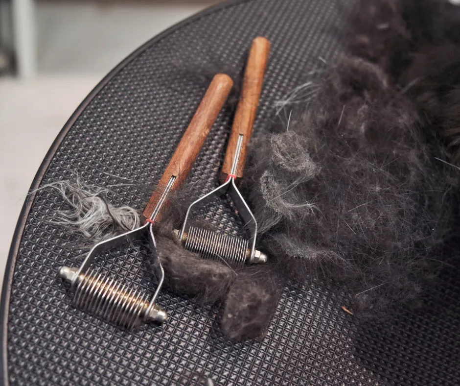 Tired of the Chaos? These 5 Efficiency Hacks Will Transform Your Grooming Week
