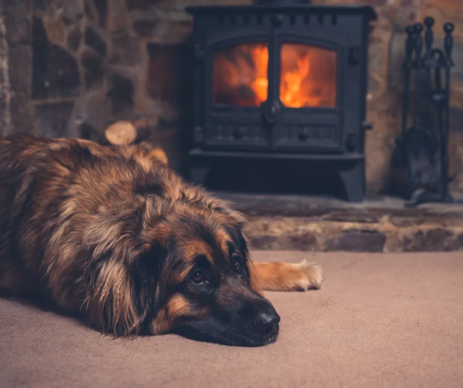 From Halloween to Christmas: Time Management Tips to Handle the Holiday Chaos