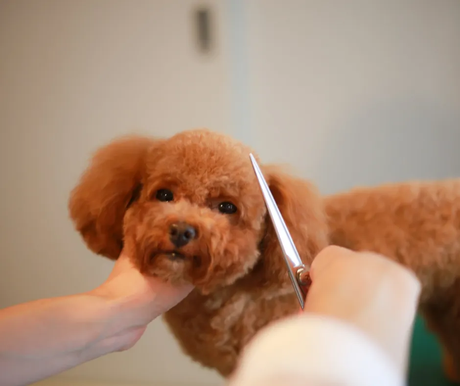 How to Create a Calm, Professional Atmosphere — Even When You’re Busy