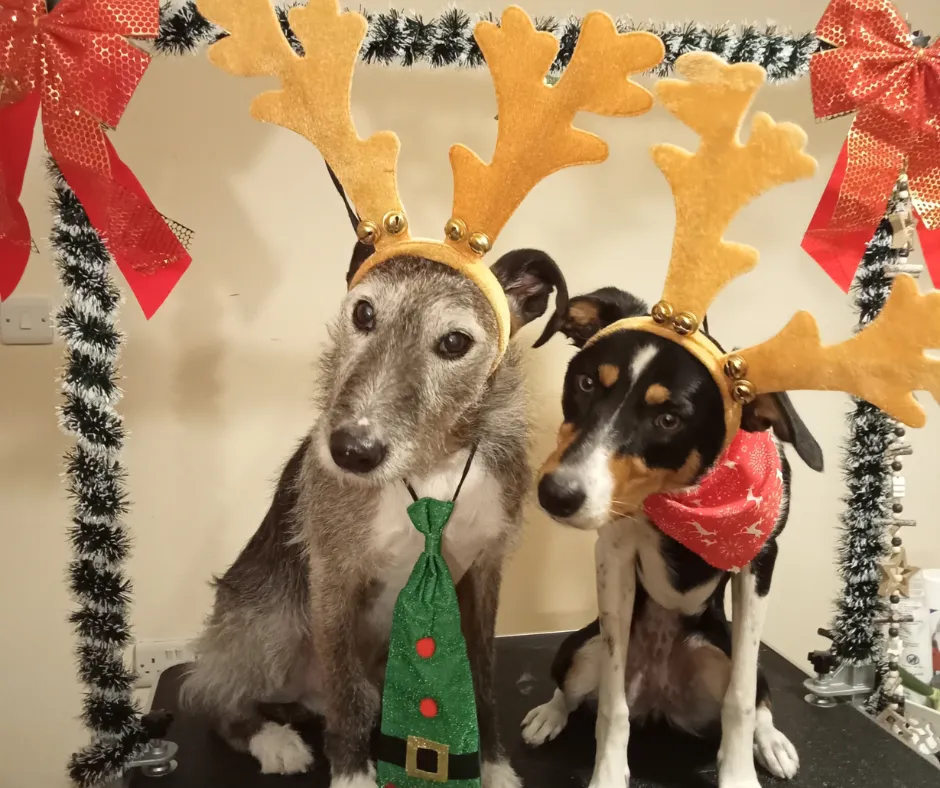 Creating a Cosy and Magical Christmas Experience for Clients this Christmas