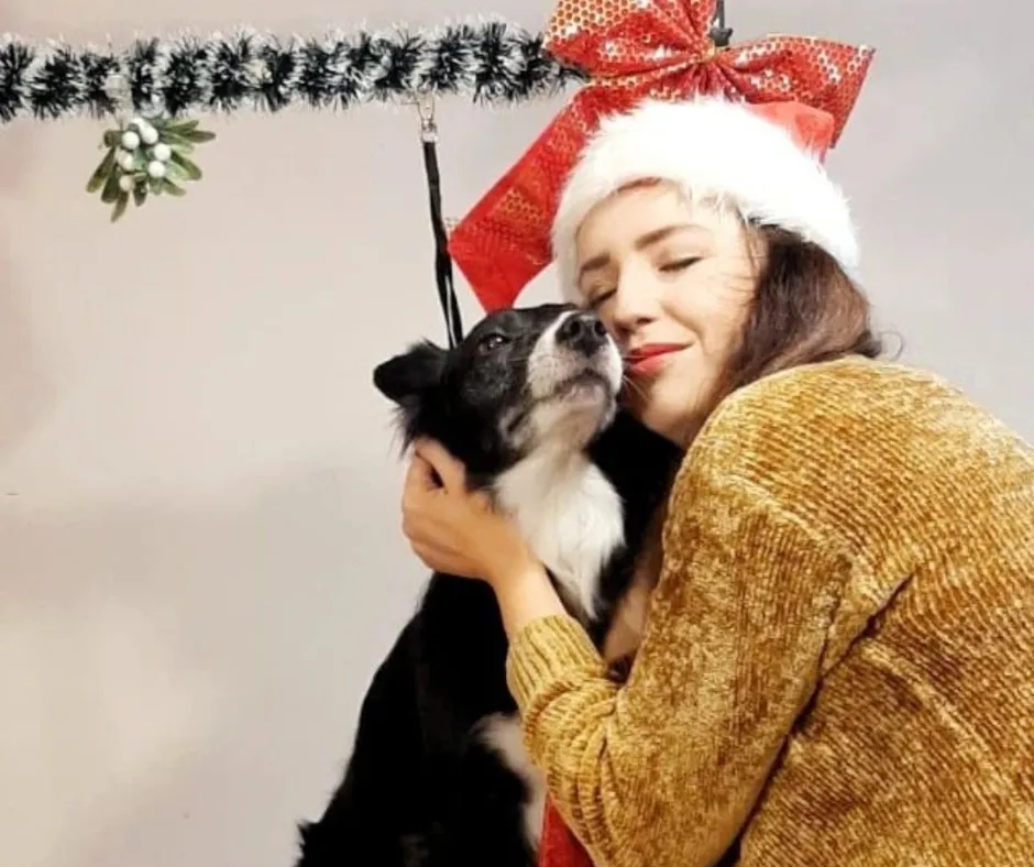 The Ultimate List of Christmas Captions for Dog Grooming Businesses