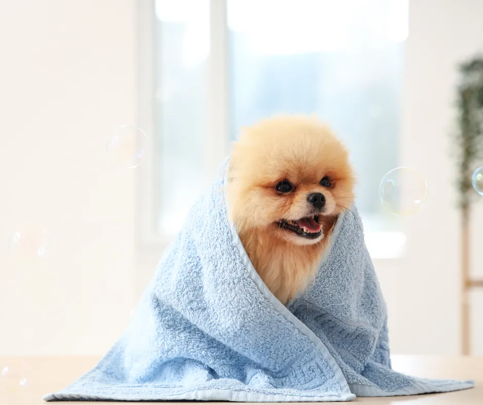 Why “More Clients” Isn’t Always the Best Goal – And What to Focus on Instead