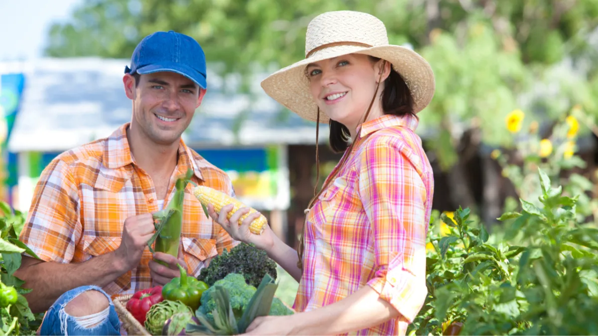 Growing an Organic or Permaculture Garden for Home and Community: Cultivating Abundance
