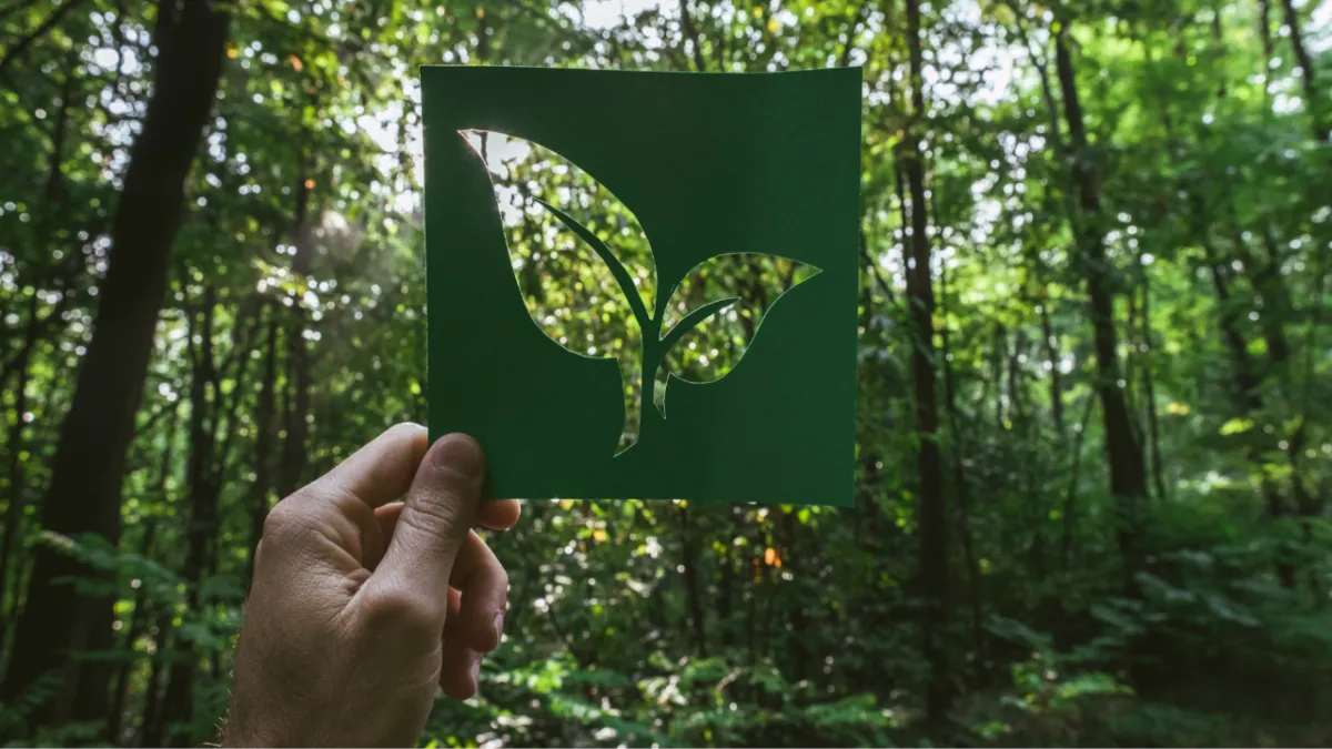 Embracing Sustainability: Exploring Eco-Communities Across the Globe