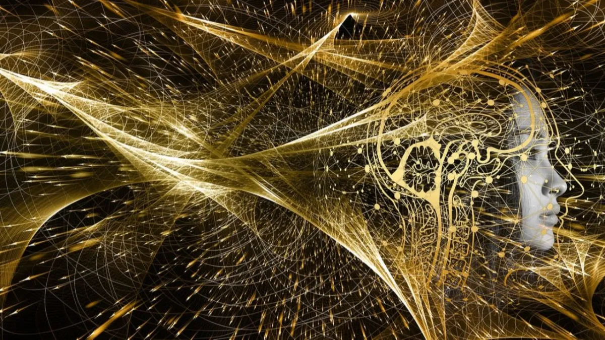 Power of Perception: Are We Living in a Quantum Reality?

