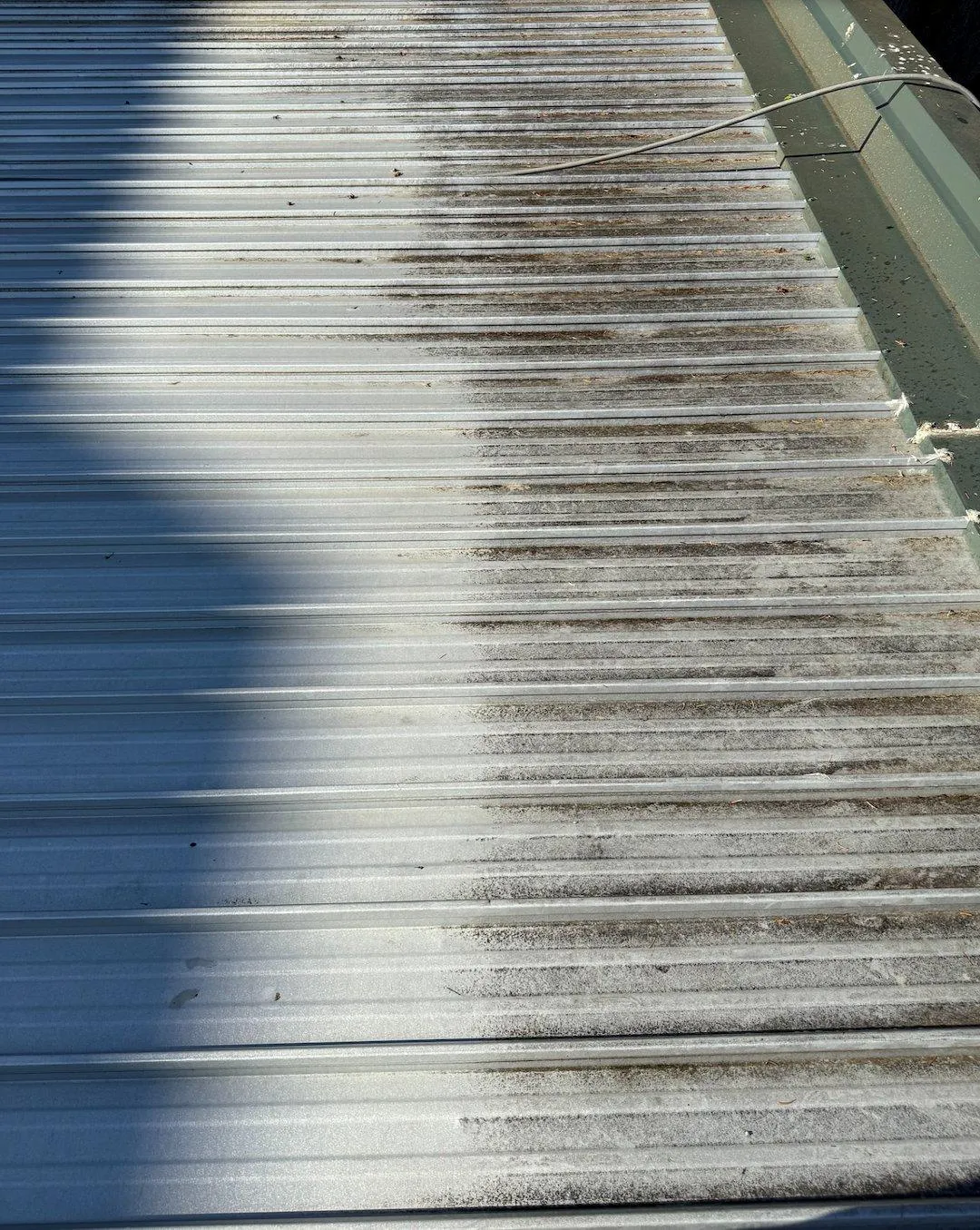 East Olympia roof cleaning