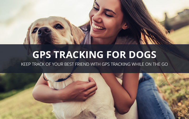 GPS Tracking For Dogs