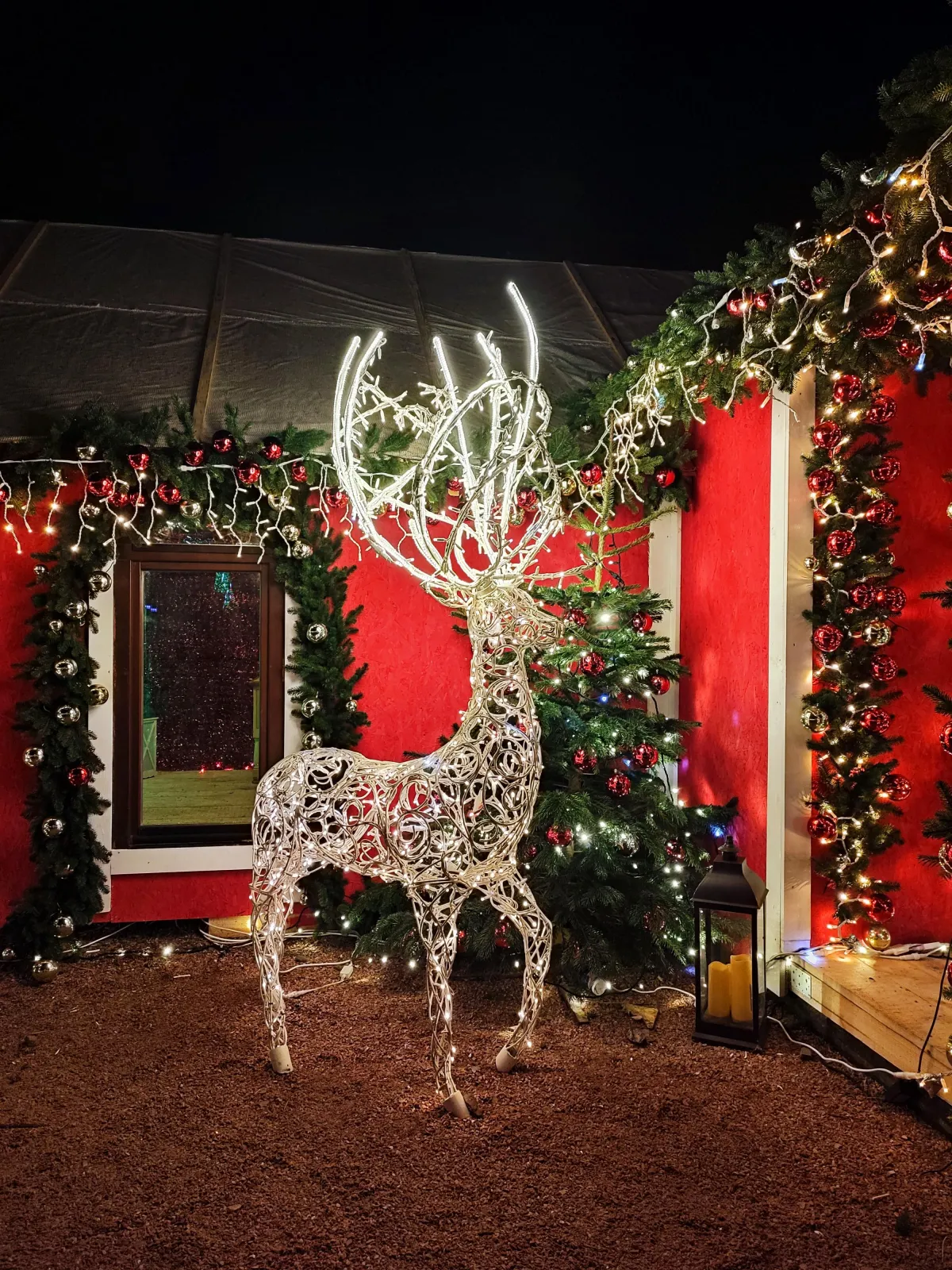 Christmas in Tampa BayBright Lighting