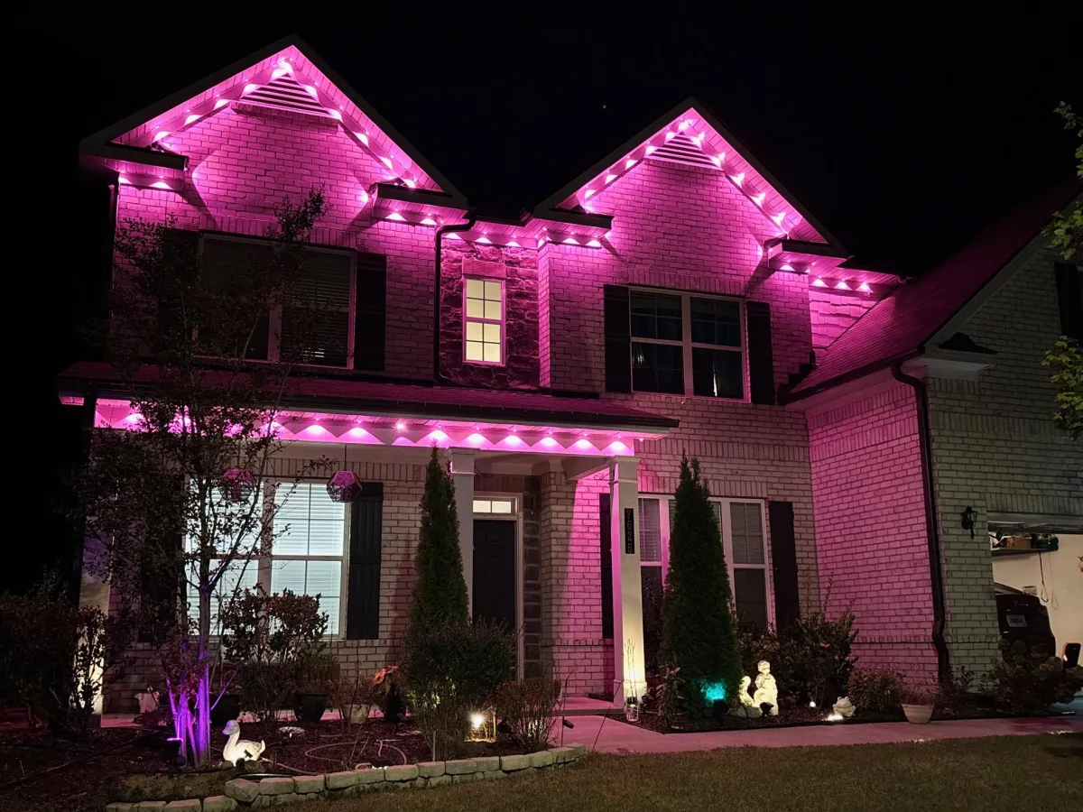 bay bright tampa pink lights