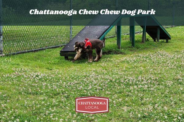 chattanooga chew chew dog park