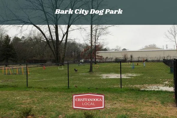 Bark City Dog Park | Fort Oglethorpe’s Off-Leash Dog Park with Big & Small Dog Areas