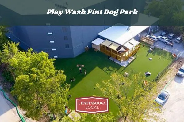Play Wash Pint | Chattanooga's Dog Park & Bar for Social Dogs and Owners