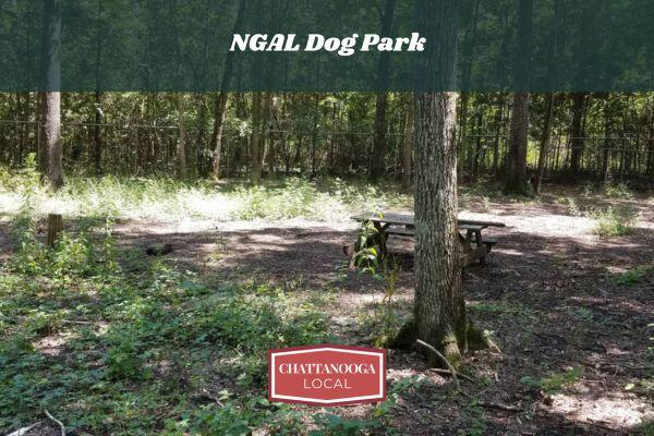 NGAL Dog Park | Off-Leash Dog Park in Rock Spring GA Near Chattanooga