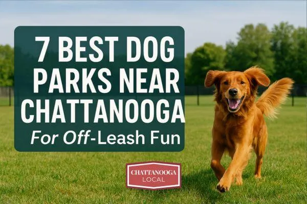 7 Best Dog Parks Near Chattanooga | Off-Leash Dog Fun in TN & GA