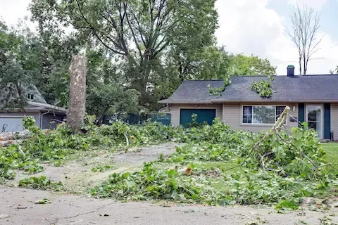 Winter Storm Tree Damage Oregon City: Assessment and Recovery Protocol